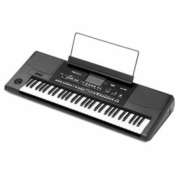 korg pa 300